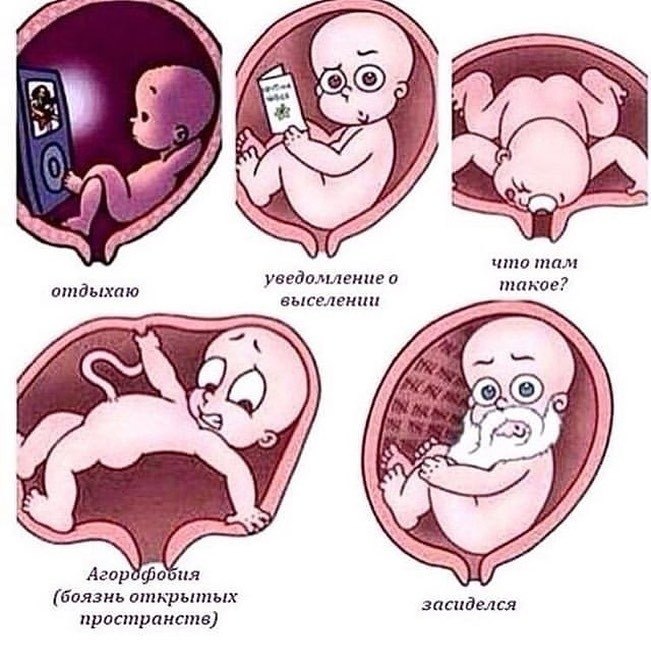 Картинки дети в животике