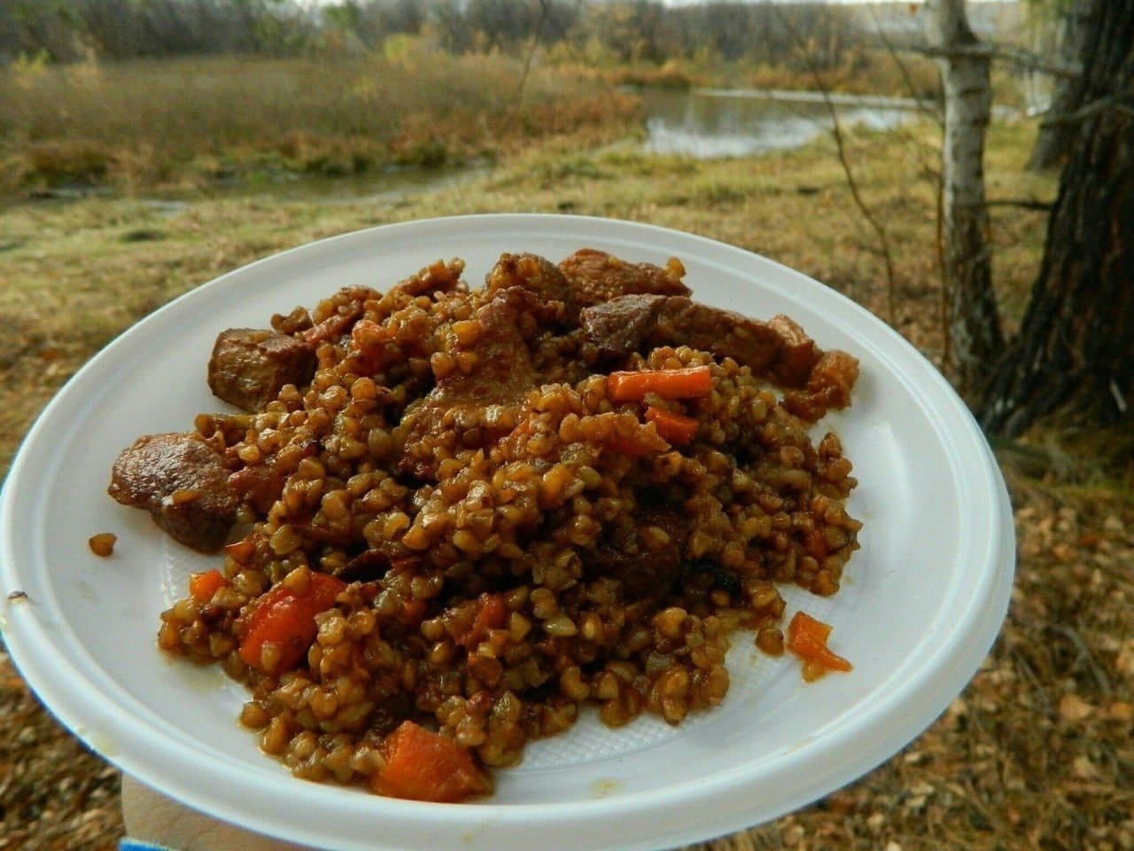 Солянка с кашей гречневой