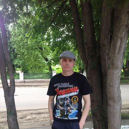 Алексей, 43 года, Порхов