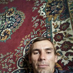 , 34 , 