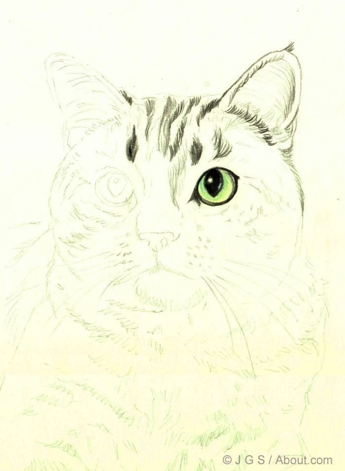 Нарисовать портрет кота 2 класс