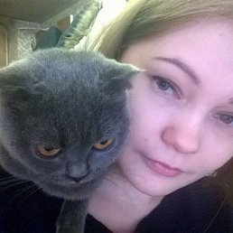 , 27, 
