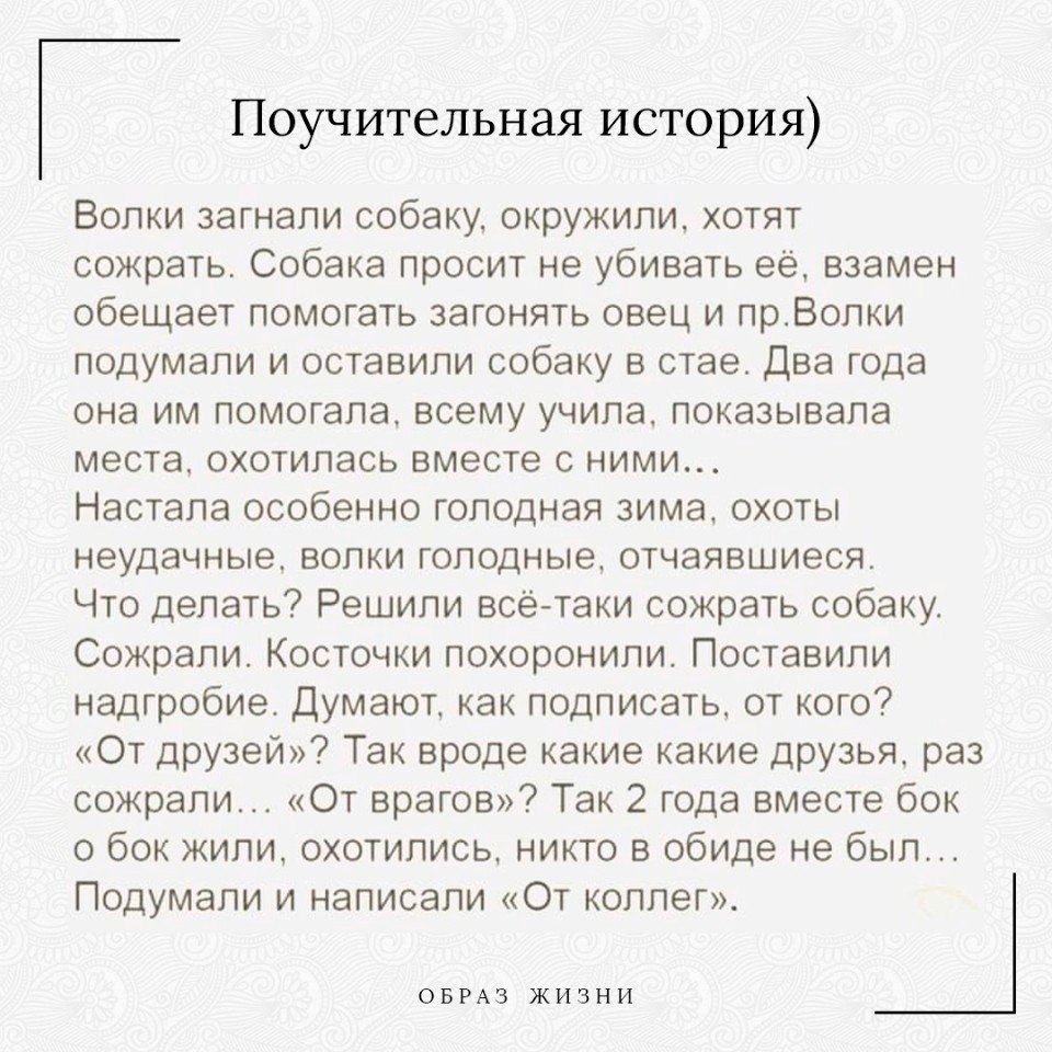 Оценила достоинство нового сотрудника рассказ на дзен. Коллеги это в истории.