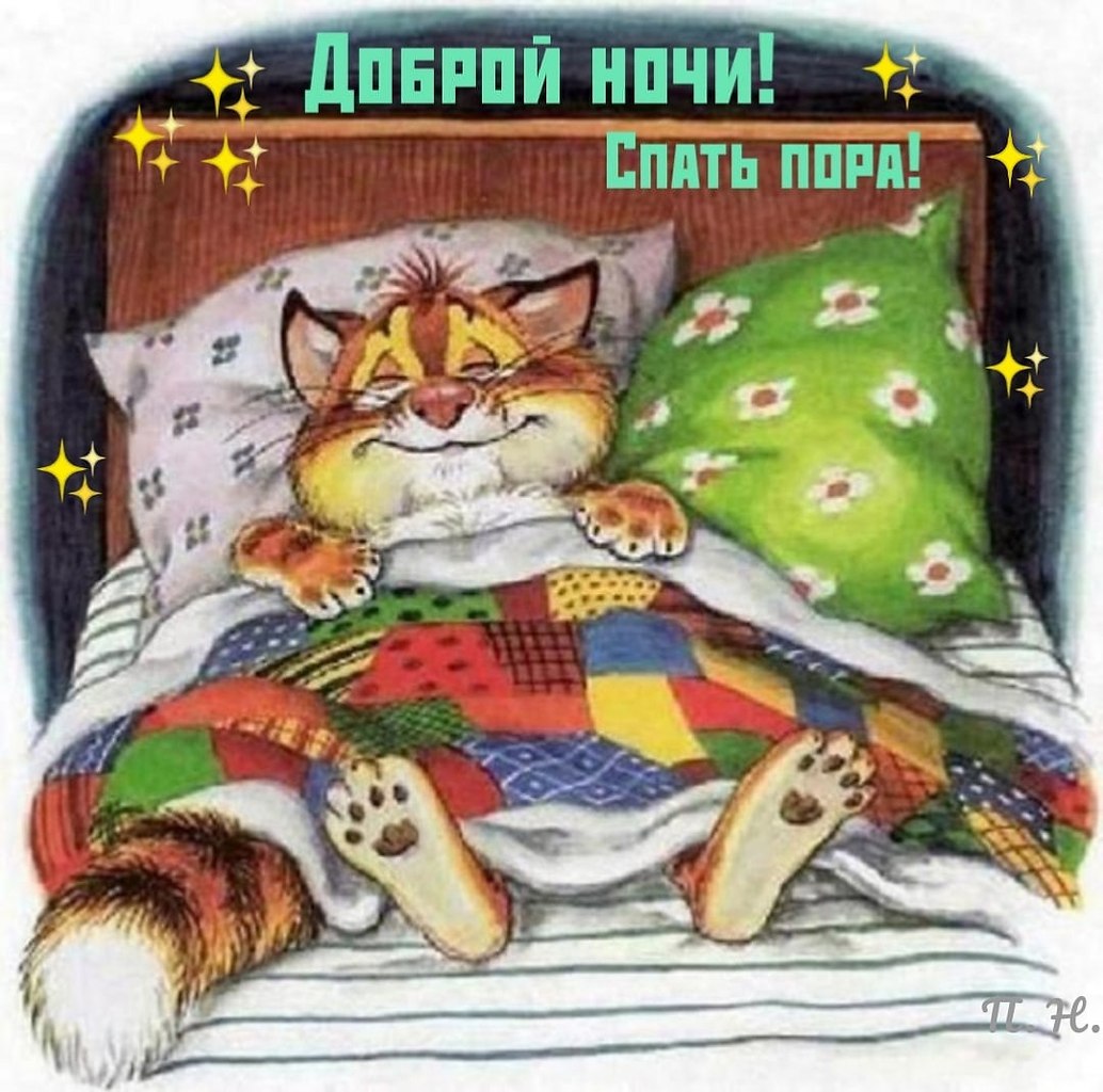 Спокойной ночи кот смешной
