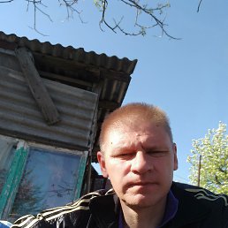 , 45 , 