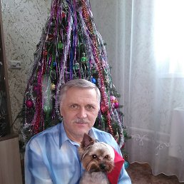 Владимир, 65 лет, Красноярск