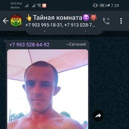 Евгений, 27 лет, Красногорское