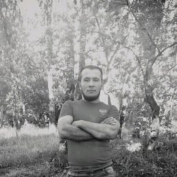 Михаил, 29, Донской, Тульская область