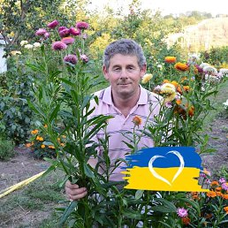 Andrij, 66 лет, Козова
