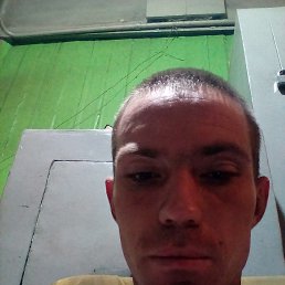 , 29, 