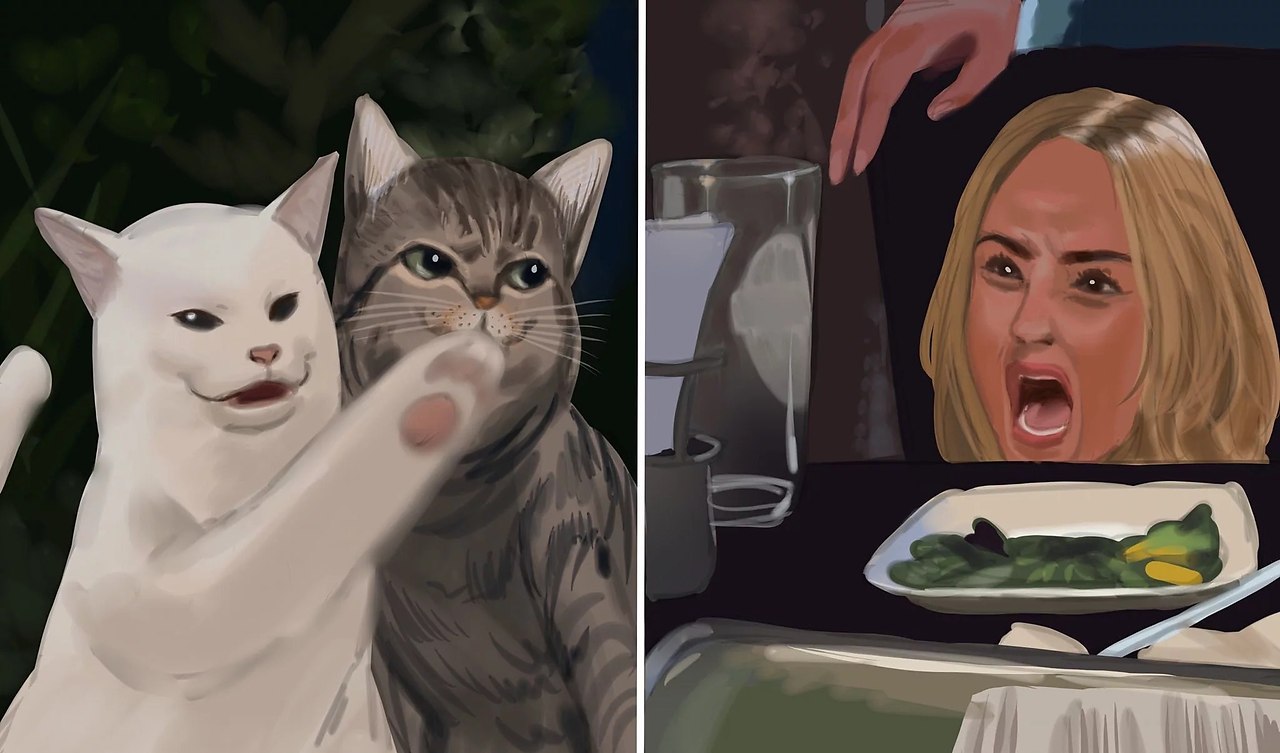 Мем с котом и двумя женщинами