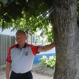 сергей, 62 года, Ростов-на-Дону