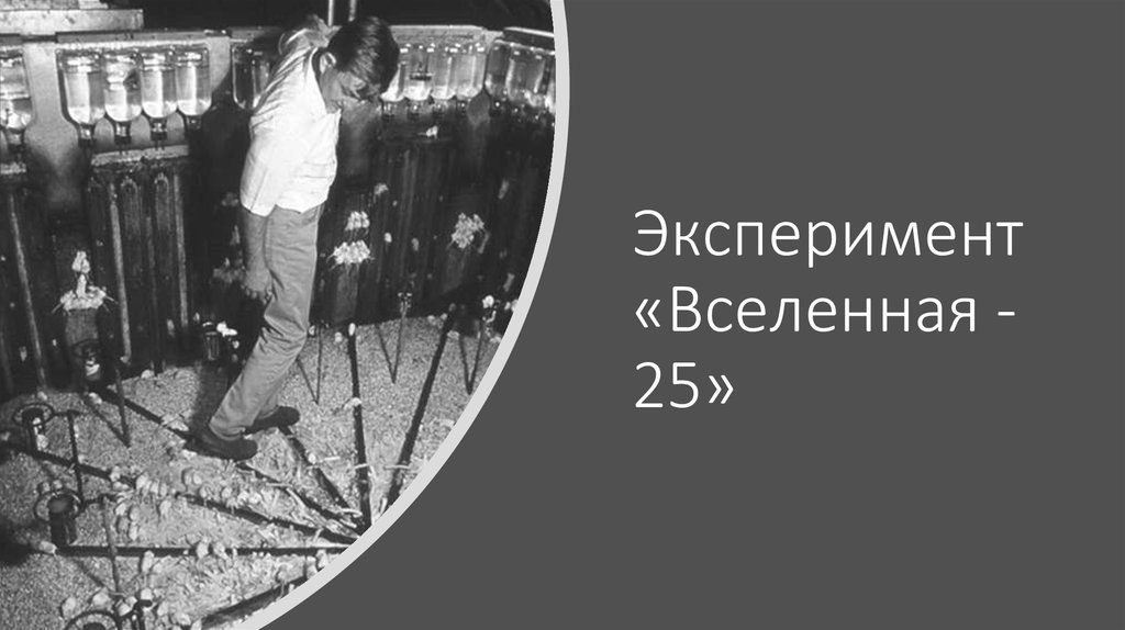 Проект вселенная 25