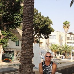 , 63 , 