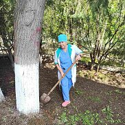 Галина, 59 лет, Алчевск Галина, 59 лет, Алчевск