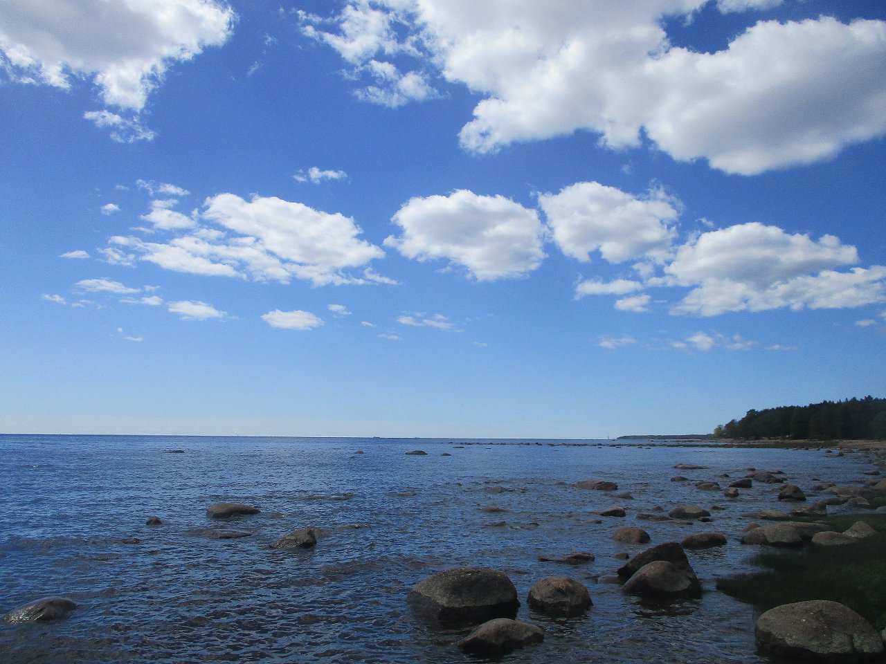 Выборг пляж на финском заливе