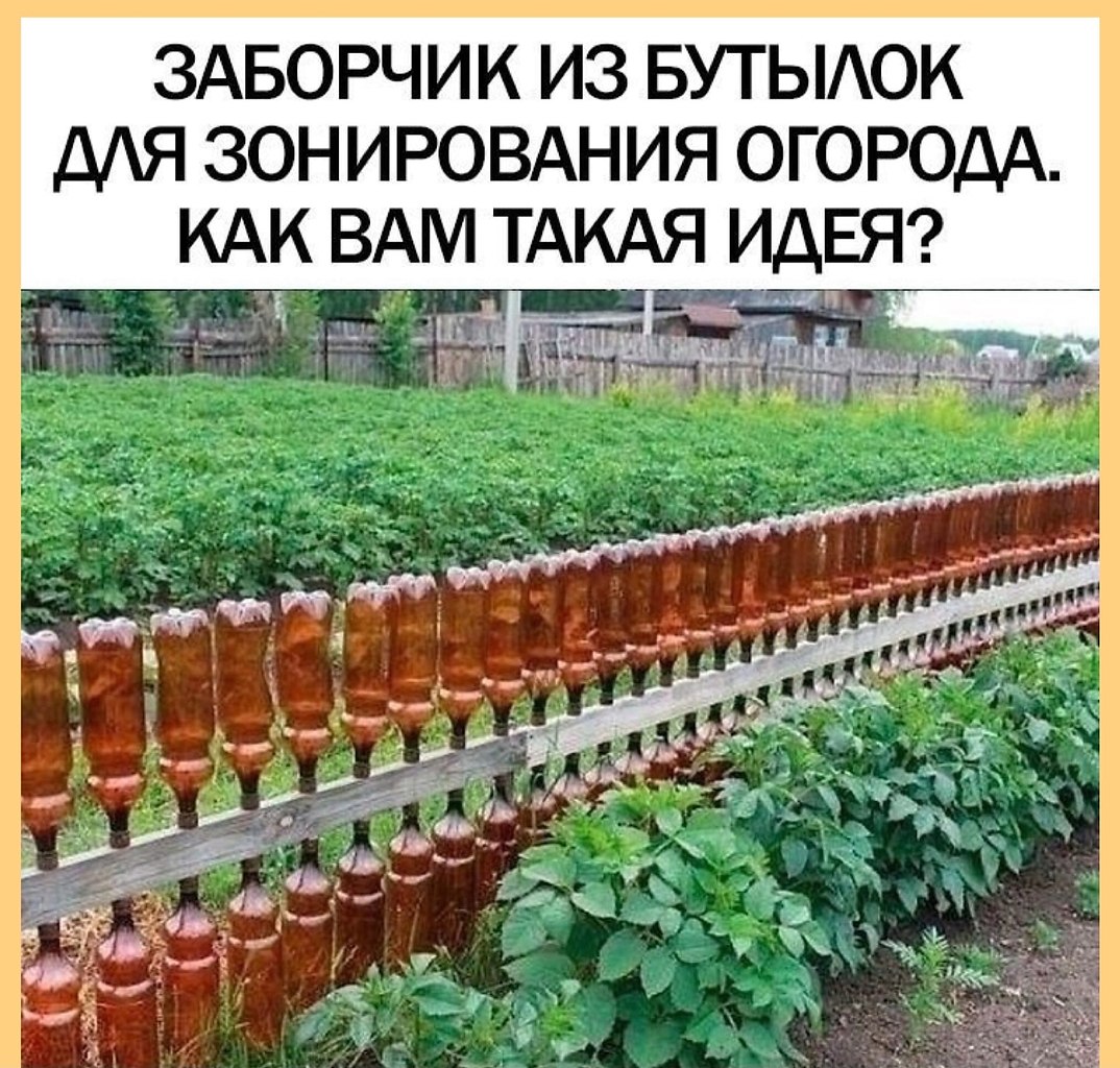 Полезное огород