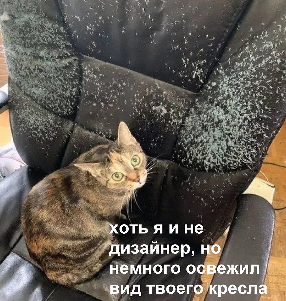 Кресло кот