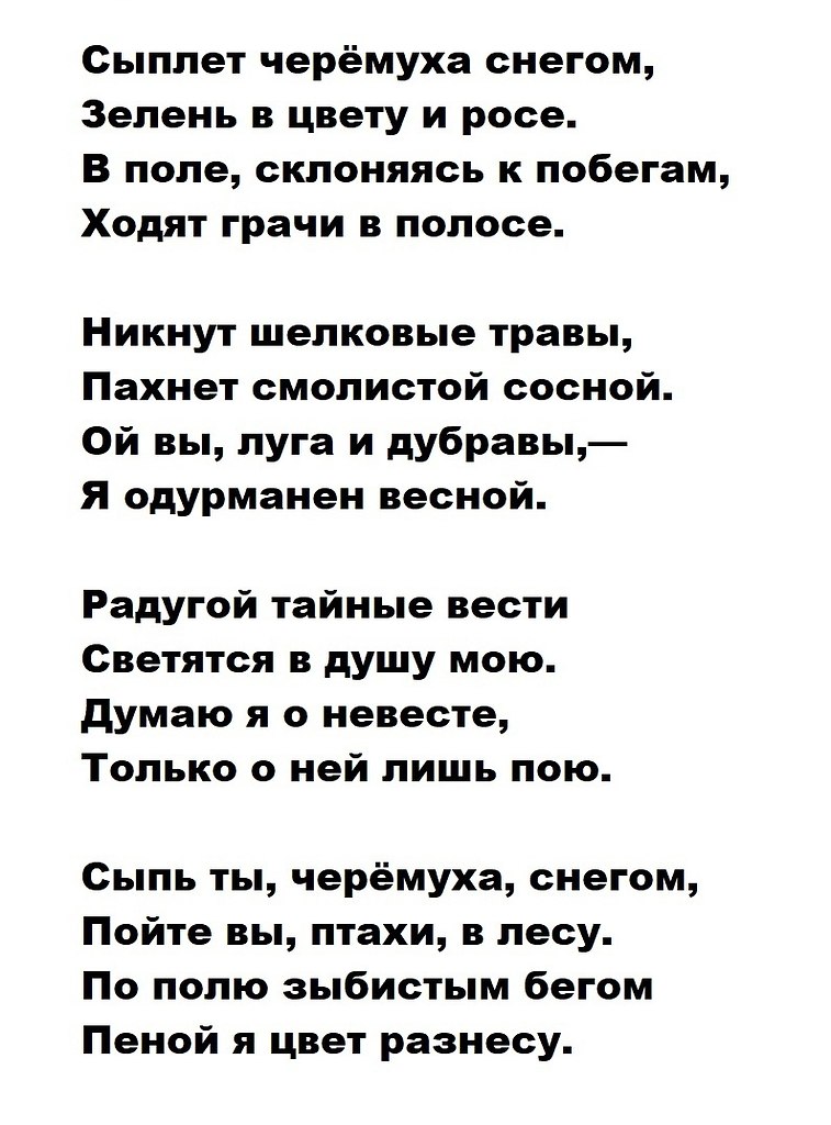 Анализ стихотворения есенина сыплет черемуха. Сыплет черёмуха снегом Есенин. Есенин стих сыплет черемуха снегом. Стихотворение Есенина сыплет черемуха снегом. Стихотворение сыплет черемуха снегом Есенин.