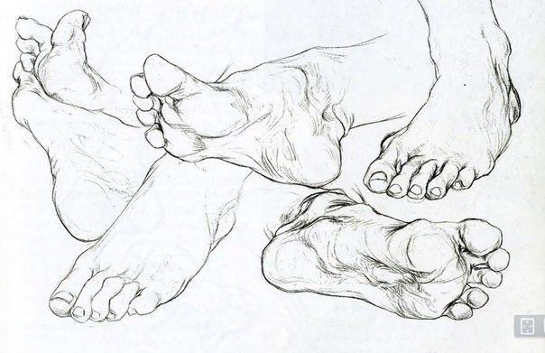 Рисунок руки стоп