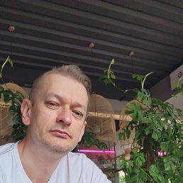 Олег, 39 лет, Сумы