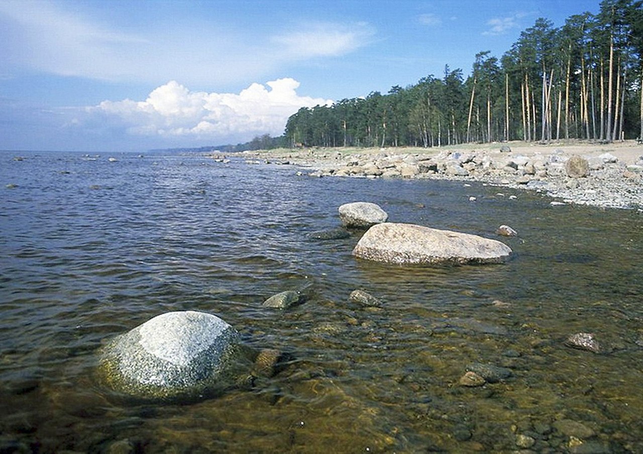 Комаровский берег фото