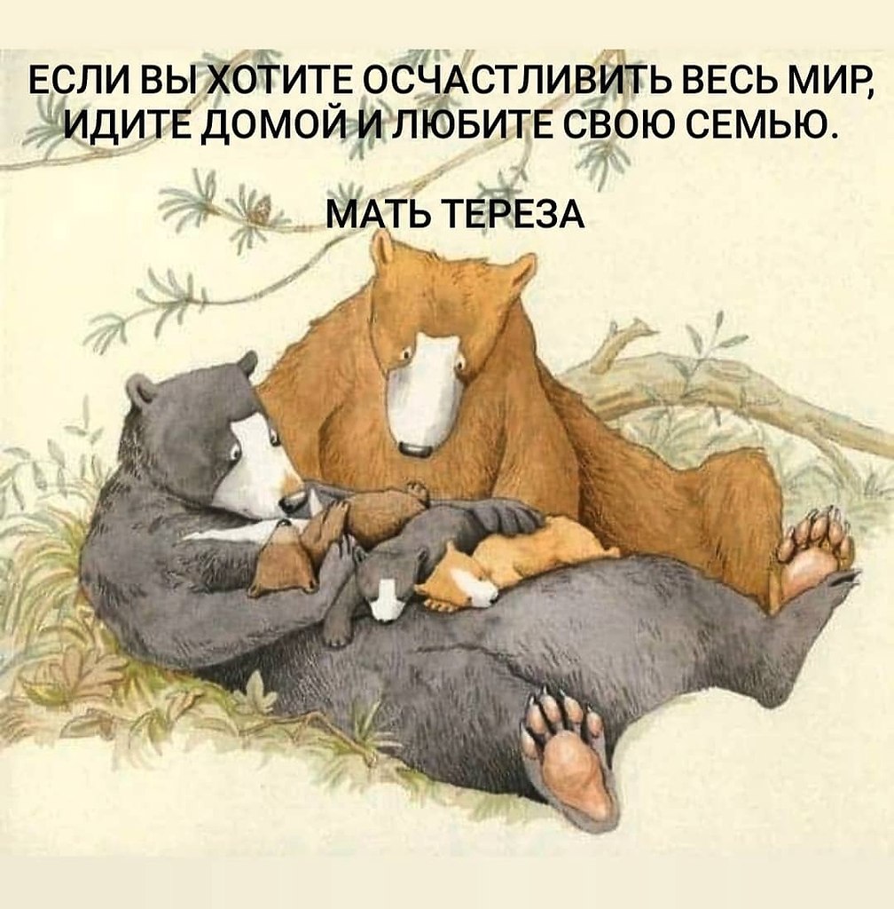 Анита Джерам медведи