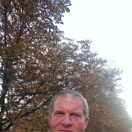 , 54 , 