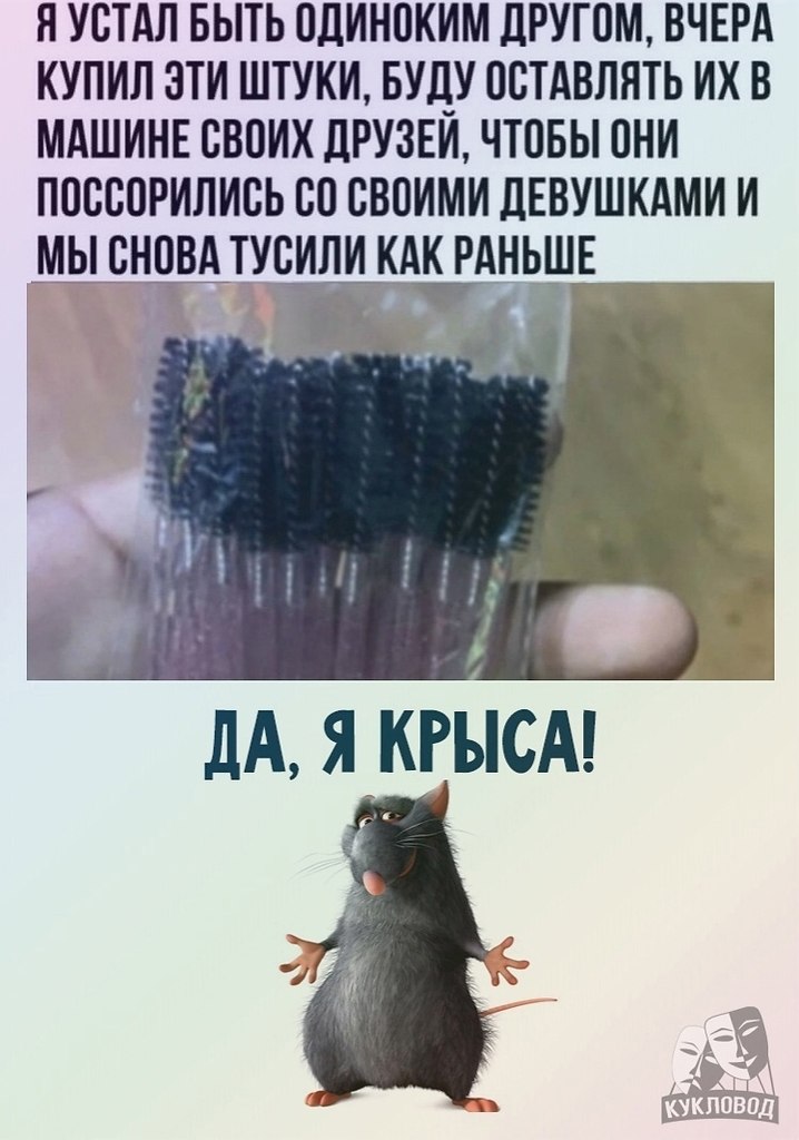 Ля ты крыса