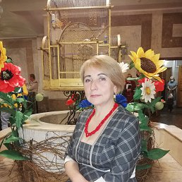 , 53, 