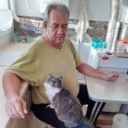 Два кота, 66 лет, Сосновка