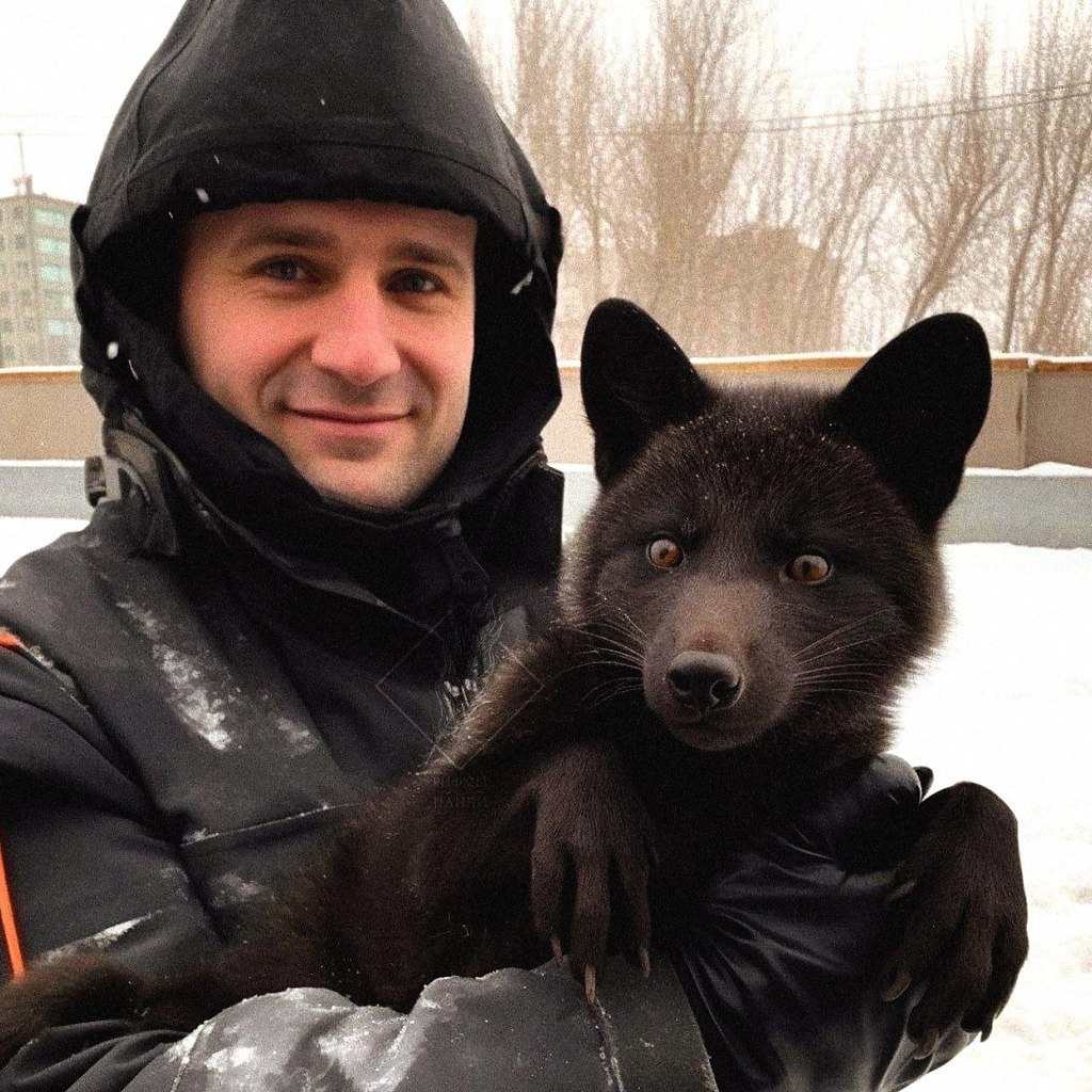 Непонятка, чо за зверь, белка что ли?)) - ОБО ВСЕМ, №2578867587 ...