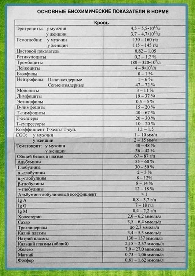 Норма биохимического анализа