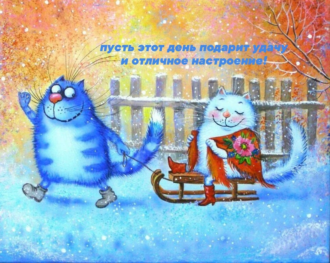 Синие коты Ирины Зенюк зимой