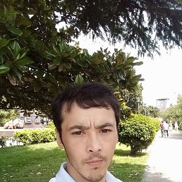 , 30, 