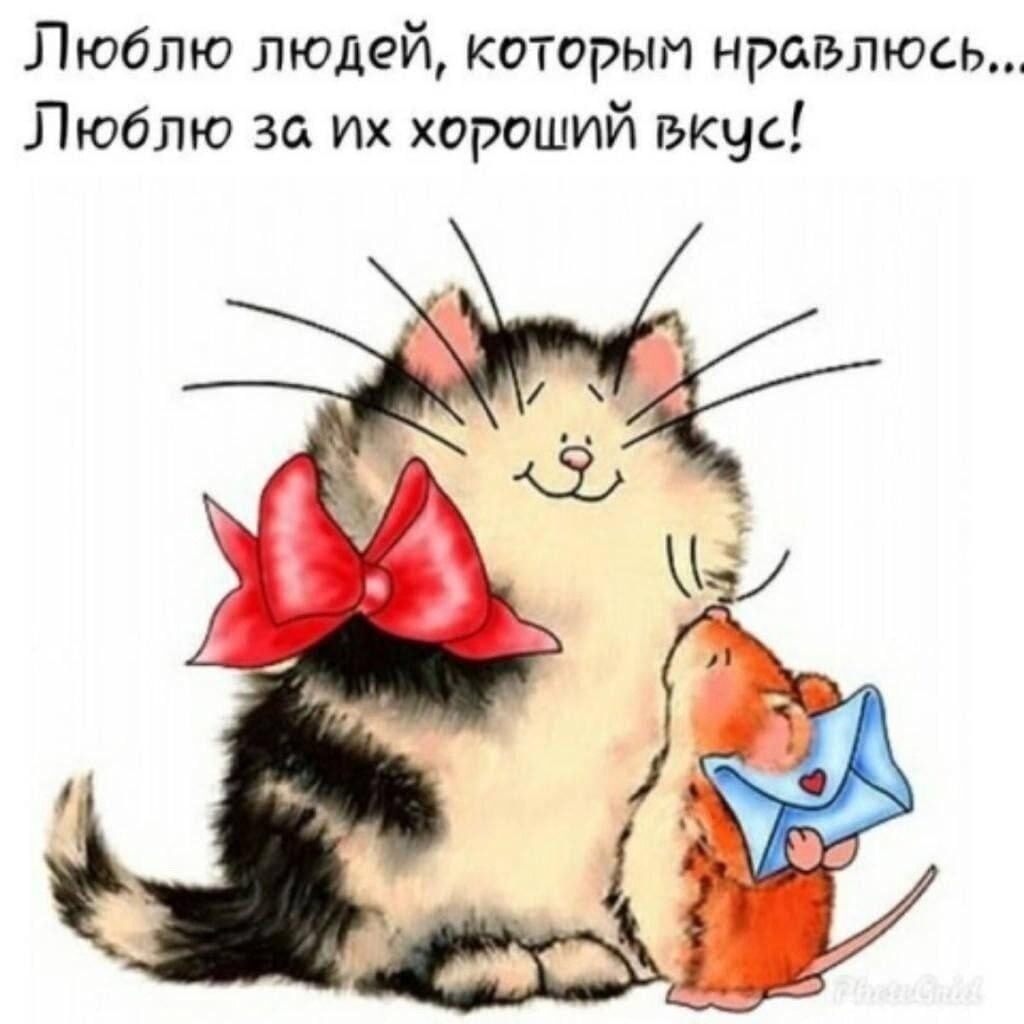 мышка для кота фанфик фото 63