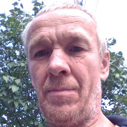 , 54, 