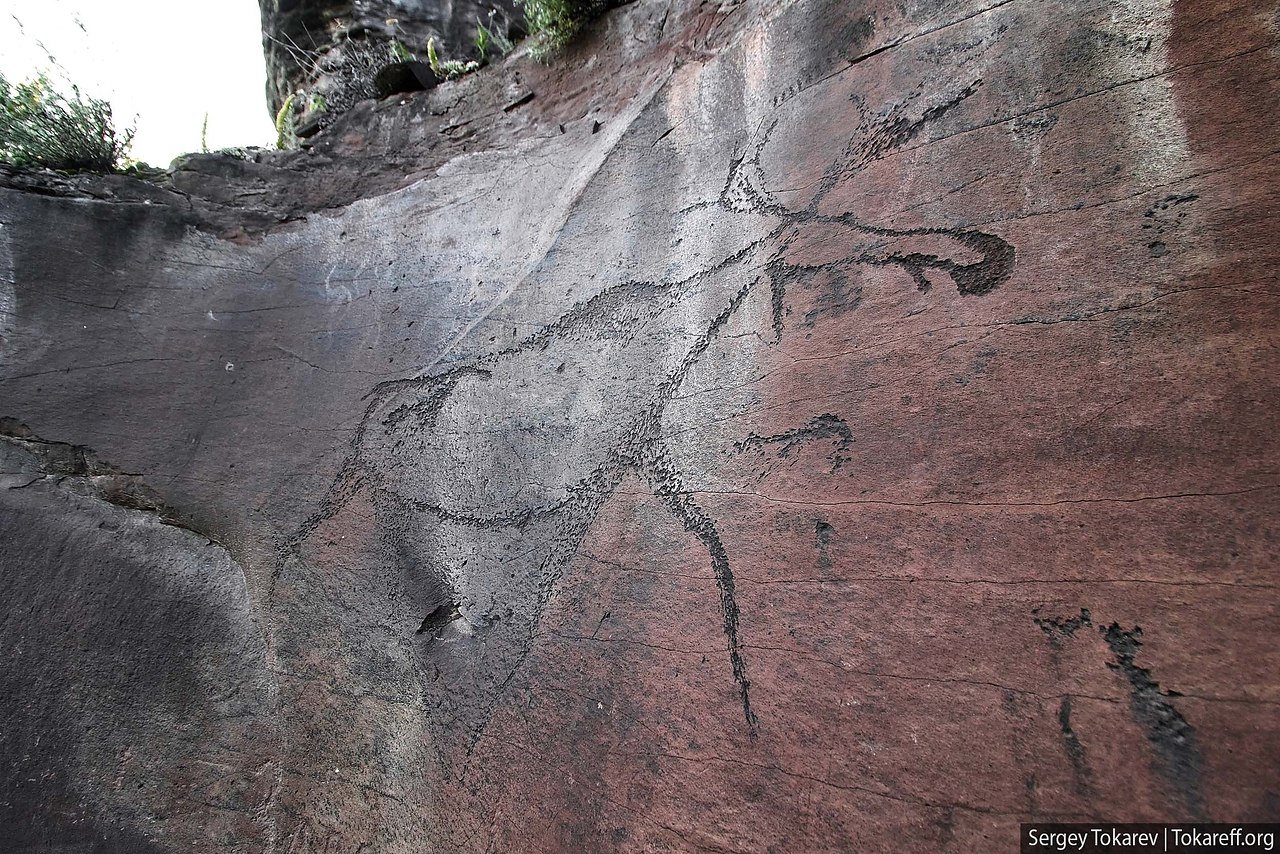 Телеграмм каналы нижнее белье фото 76