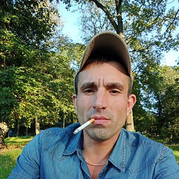 , 30, 