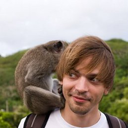 ��������, ������, 40 ���