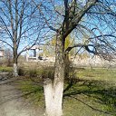 ������� ���-������!����������!! �� ������� �"�����������" �����������!!!�