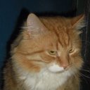 ������� ���)))) �� ������� ����� ��� ������������