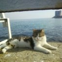  , , 67  -  22  2011   22.04.2011 .   