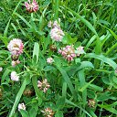 ������ �� ������� ����λ