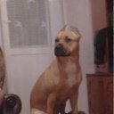 ���� ����, �������, 45 ��� - ��������� 21 ������ 2011 � ������ ���� ����������