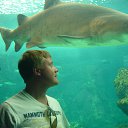 ���� ����, ������, 40 ��� - ��������� 17 �������� 2011