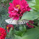 ������� ��� �������! �� ������� ����������� �����