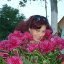 ���� �����, ���������� - ��������� 30 ���� 2011 � ������ ���� ����������