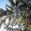 �������� � ��������.... �� ������� ���� ����������