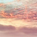 ���� �����, ������ - ��������� 5 ������ 2013 � ������ ������ ��������